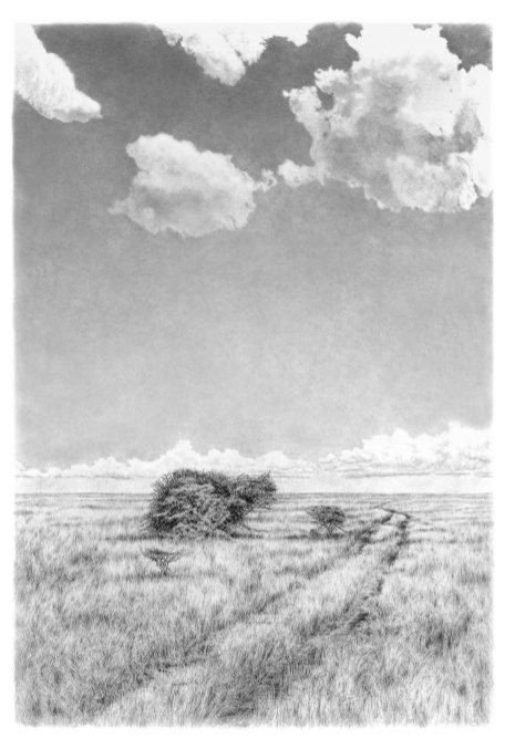 Image title goes here