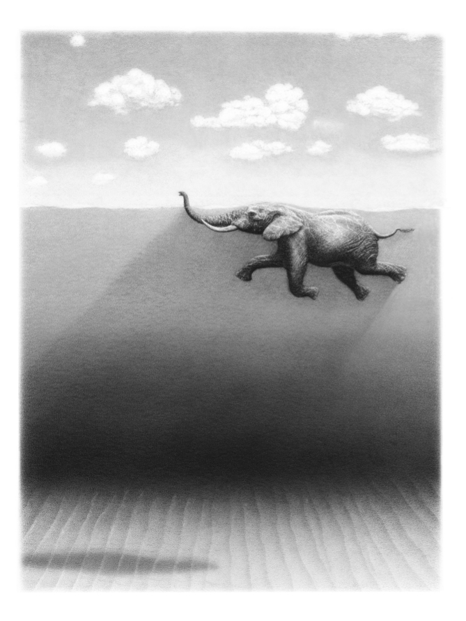 Image title goes here