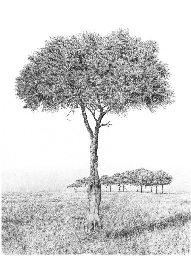 Image title goes here