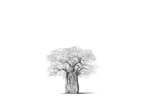 still life with bushbuck